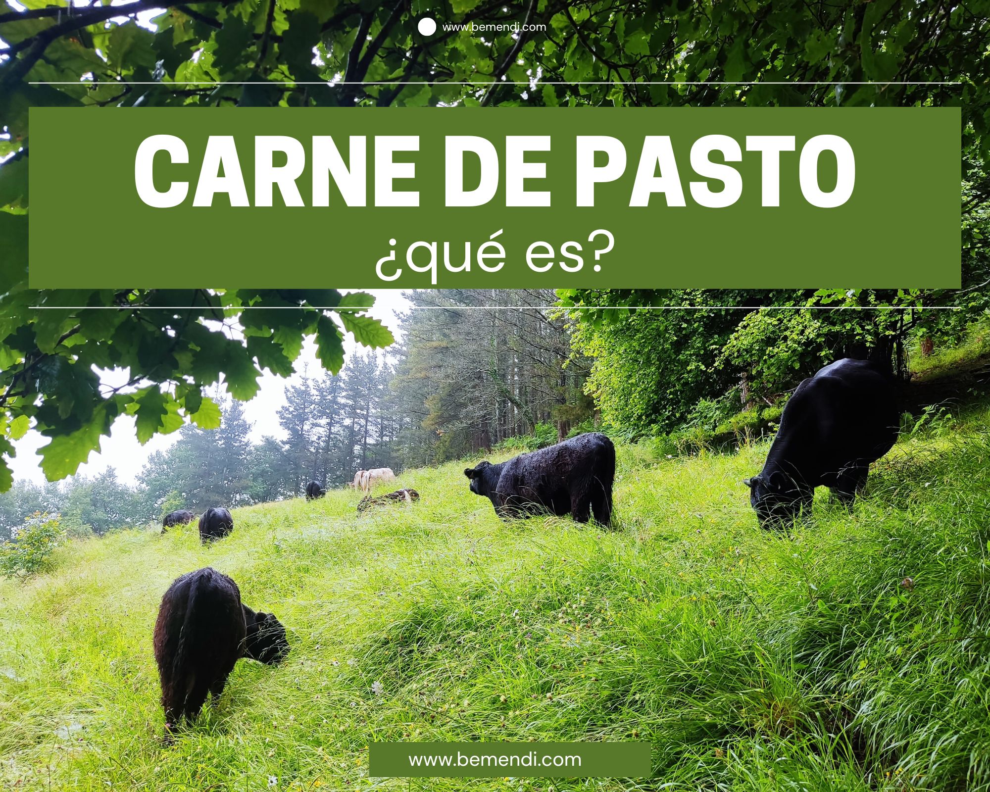 carne-de-pasto